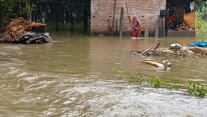 সাতক্ষীরায় ভয়াবহ জলাবদ্ধতা: তলিয়ে গেছে হাজারো হেক্টর ফসল, জনজীবন স্থবির