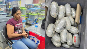 ১৩০ কোটি টাকার কোকেন জব্দ শাহজালাল বিমানবন্দরে, চাঞ্চল্য