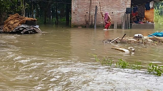 সাতক্ষীরায় ভয়াবহ জলাবদ্ধতা: তলিয়ে গেছে হাজারো হেক্টর ফসল, জনজীবন স্থবির