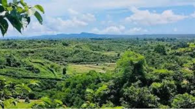 সীমান্তের ওপারে গোলাগুলির শব্দ শোনা যাচ্ছে, বিজিবির সতর্ক অবস্থান