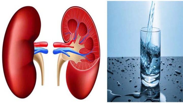 কিডনির জন্য কতটুকু পানি প্রয়োজন?