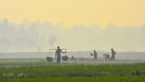 শীতের কুয়াশায় শ্বাস নিতে কষ্ট? সাবধান না হলে বিপদ