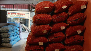 আমদানির প্রভাবে কমছে পেঁয়াজের ঝাঁজ