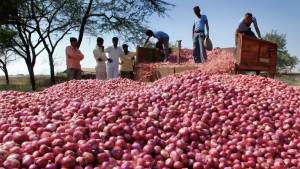 পেঁয়াজ আমদানির অনুমতি দিল সরকার