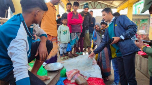 বিলুপ্তপ্রায় নিষিদ্ধ মাছ বিক্রির জরিমানা ৩০০০ টাকা