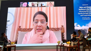 হিমালয় অঞ্চলে পানি ন্যায্যতা ও আন্তঃসীমান্ত সহযোগিতা জোরদারের আহ্বান