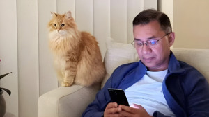 তারেক রহমানের পোষা বিড়াল ‘জেবু’ এখন ঢাকায়