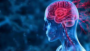 ব্রেইনস্টেম ক্ষতিগ্রস্ত হলে জীবন যেভাবে ঝুঁকিতে পড়ে