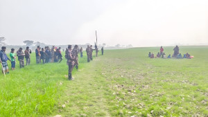 ১৪ ভারতীয়কে পুশব্যাক করল বিজিবি