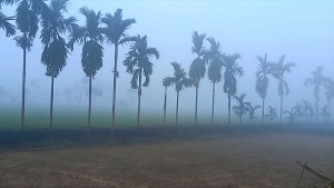 তেঁতুলিয়ায় তাপমাত্রা আজও ১০ ডিগ্রিতে