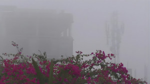 শীতে কাঁপছে নওগাঁ, তাপমাত্রা নামল ১১ ডিগ্রিতে