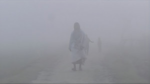 কুড়িগ্রামে বাড়ছে শীত-কুয়াশার দাপট