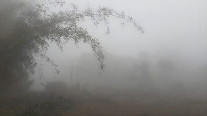 তেঁতুলিয়ায় তাপমাত্রা ৯ ডিগ্রি, বইছে মৃদু শৈত্যপ্রবাহ