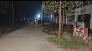 পুশইনের শিকার ভারতীয় সেই গর্ভবতী নারী সোনালি খাতুনের জামিন