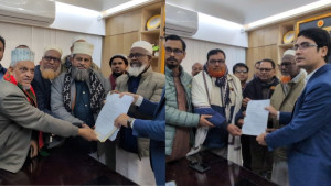 এক ভাই বিএনপি, আরেক ভাই জামায়াতের প্রার্থী