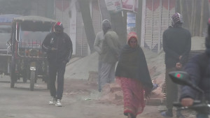 নওগাঁয় বৃষ্টির মতো ঝরছে কুয়াশা