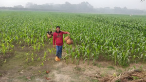 চুয়াডাঙ্গায় শৈত্যপ্রবাহ অব্যাহত, কাবু জনজীবন