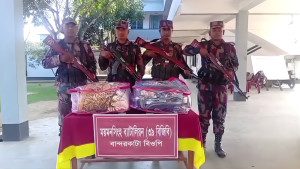 বিজিবির পৃথক অভিযানে ভারতীয় কম্বল ও শাড়ি জব্দ