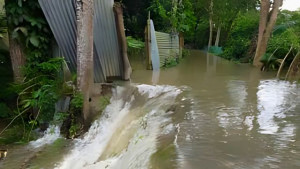 মেঘনায় পানি বিপদসীমার ওপরে, উপকূলীয় গ্রামগুলো পানিতে তলিয়ে যাচ্ছে