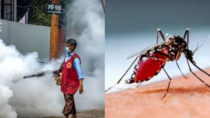 মশা না কমলেও খরচ ৯২ কোটি টাকা!