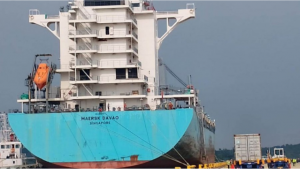 নতুন ব্যবস্থাপনায় চমক! নিউমুরিং টার্মিনালে কনটেইনার পরিবহনে রেকর্ড উন্নতি