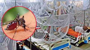 বরগুনায় ডেঙ্গুতে নতুন মৃত্যু সংক্রমণে উদ্বেগ!