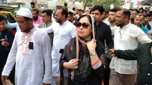 আওয়ামী লীগের নাম-নিশানা ছিল না, প্রেক্ষাপট বানিয়েছিল বিএনপি: রুমিন ফারহানা