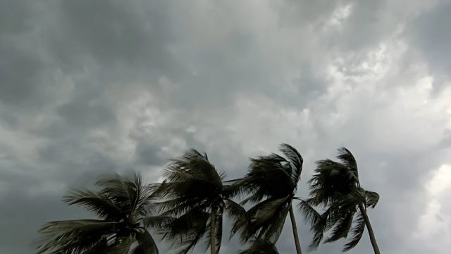 আজ দুপুরের মধ্যে ঝড়ের সতর্কতা, ৭ জেলা ঝুঁকিতে