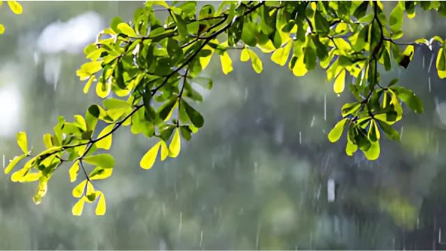 ঢাকায় হালকা বৃষ্টির সম্ভাবনা, গরম থেকে মিলবে কিছুটা স্বস্তি?