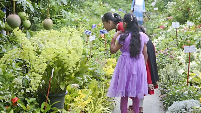 বৃক্ষমেলায় সবুজে ঘেরা স্বপ্ন ফলের চারা নিয়ে উৎসাহী বাগানপ্রেমীরা