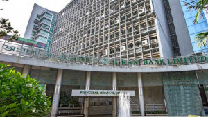 ‘নন-ব্যাংকিং’ ফাঁদে ধরা অগ্রণী ব্যাংক! কেন্দ্রীয় ব্যাংকের জরিমানার ছোবল