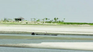 যমুনার চরের রহস্যময় বাবু বাটান