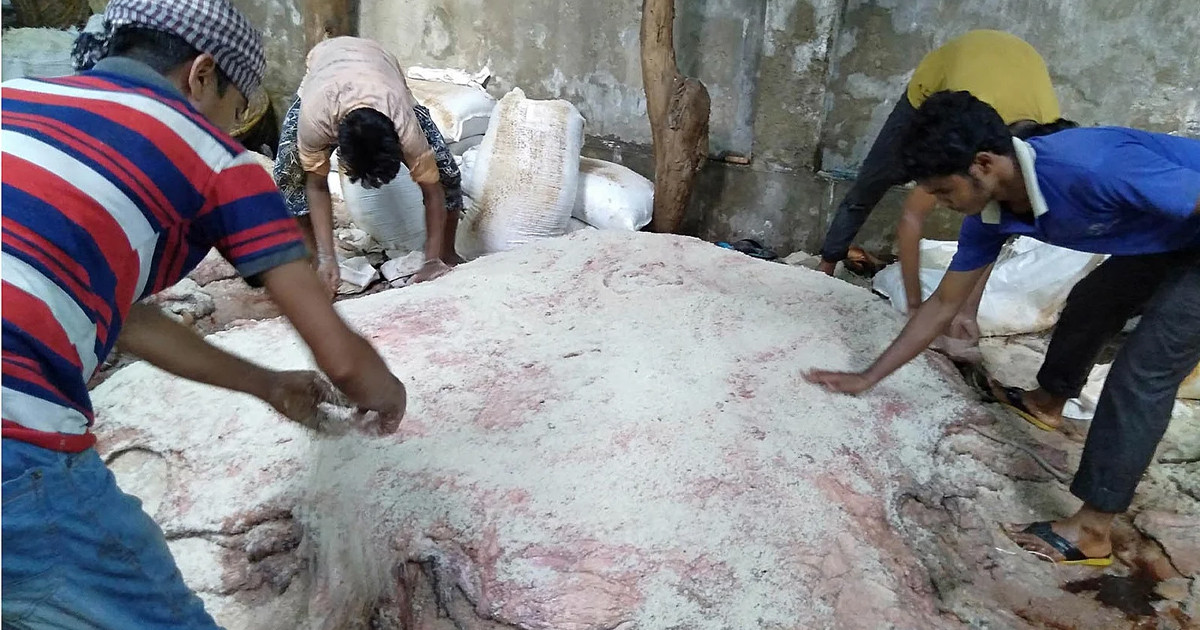 চামড়া সংরক্ষণে ব্যর্থ ২০ কোটি টাকার গছানো লবণ
