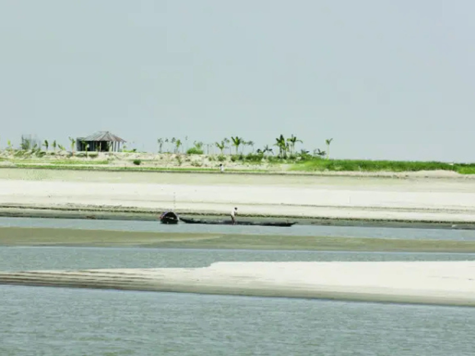 যমুনার চরের রহস্যময় বাবু বাটান