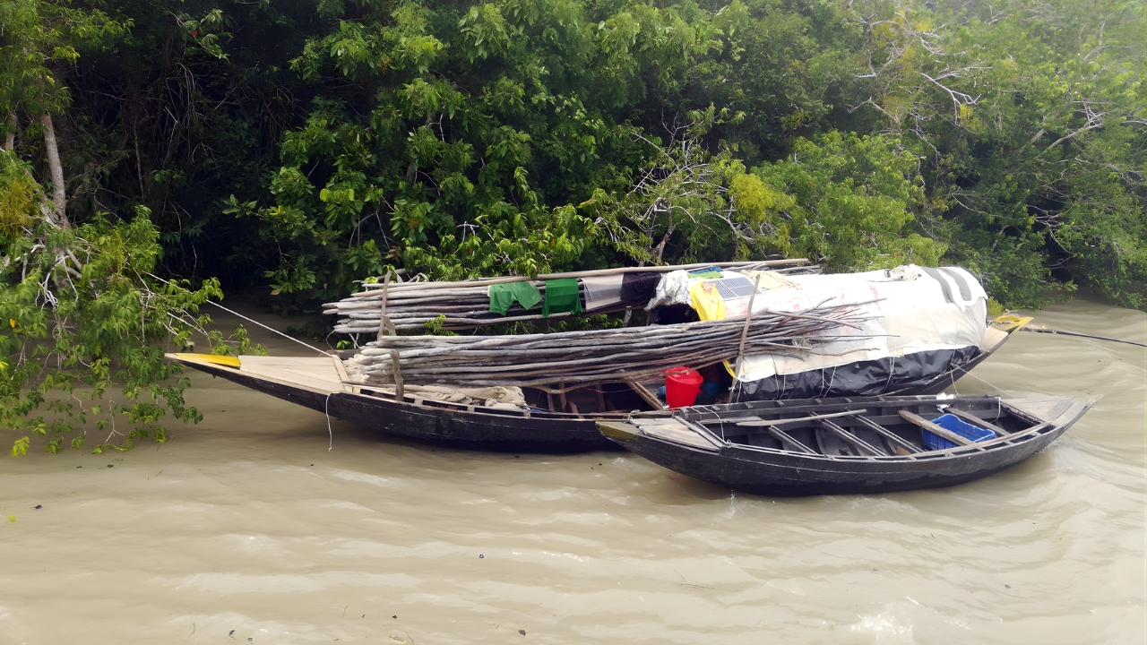 সুন্দরবনে দাপিয়ে বেড়াচ্ছে ২০ দস্যু বাহিনী
