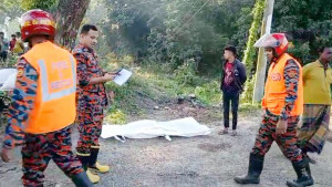 মেহেরপুরে সড়কে ঝরল পথচারীর প্রাণ