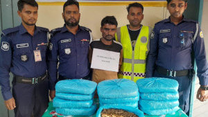১৩ কেজি গাঁজাসহ মাদক কারবারি গ্রেপ্তার