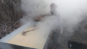 খেজুরের রস থেকে গুড় তৈরিতে ব্যস্ত গাছিরা