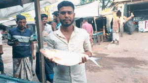 এক ইলিশের দাম ১২ হাজার টাকা