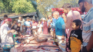 নবান্নের আমেজে তিন শতাব্দীর মাছের মেলা