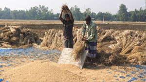 প্রজন্ম বদলে গেছে, হারিয়ে গেছে উৎসব