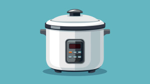 রাইস কুকারে বিদ্যুৎস্পৃষ্ট হয়ে প্রাণ গেল গৃহবধূর