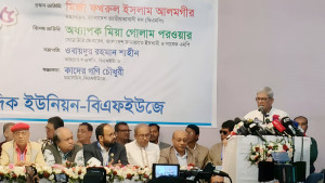 পুরো জাতি ফেব্রুয়ারির নির্বাচনের জন্য অপেক্ষা করছে: মির্জা ফখরুল