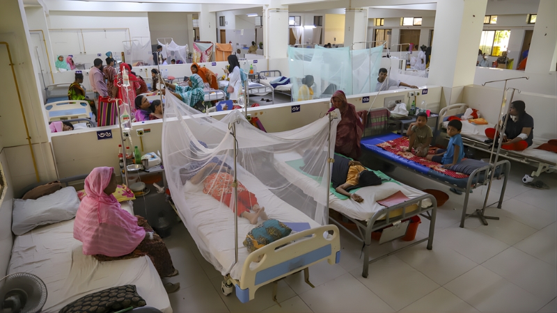 ডেঙ্গু কেড়ে নিল আরও ৬ প্রাণ