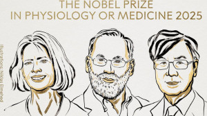চিকিৎসায় নোবেল পেলেন তিন বিজ্ঞানী