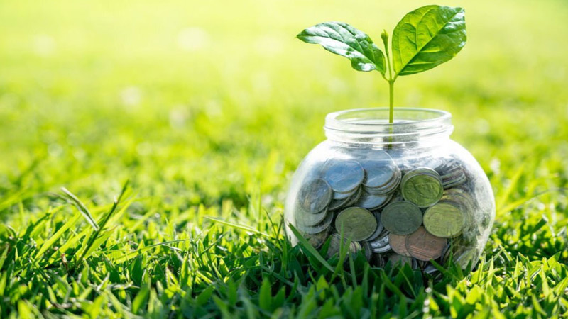 যেসব গুনাহর কারণে আয়-রোজগারে বরকত কমে যায়