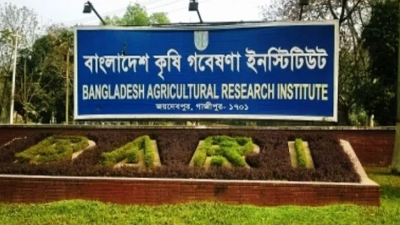 পরীক্ষা না দিয়েই সরকারি চাকরি পেয়েছেন ৪২ জন
