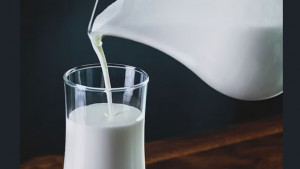 কাঁচা দুধ কি শরীরের জন্য হুমকি?