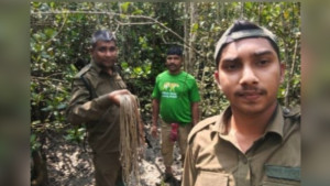 সুন্দরবনে হরিণ শিকারের ২৫টি ‘মালা ফাঁদ’ উদ্ধার