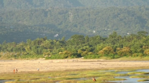 ভারতীয় খাসিয়ার গুলিতে বাংলাদেশী নিহত